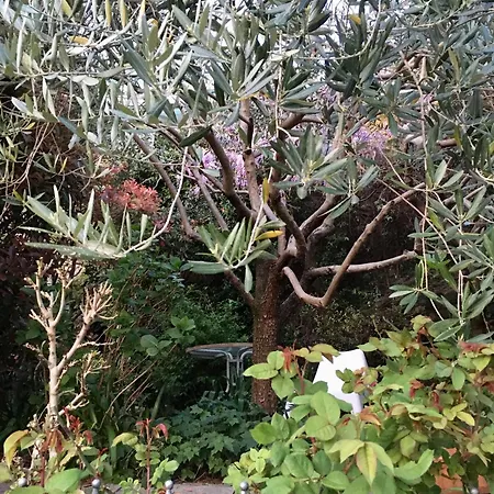 Cav Di Gianfranco Apartamento