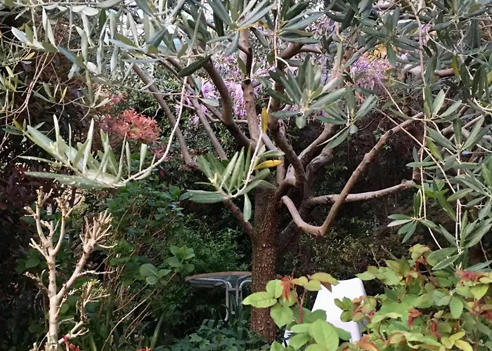 Cav Di Gianfranco Apartmán